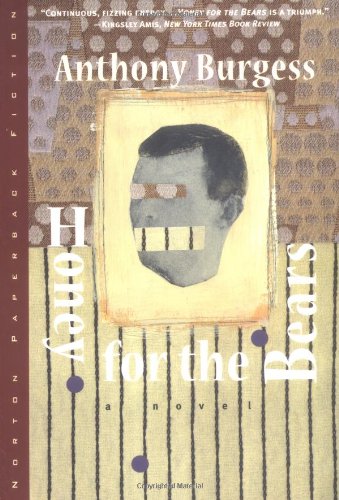 Honey for the Bears (Norton Paperback Fiction)