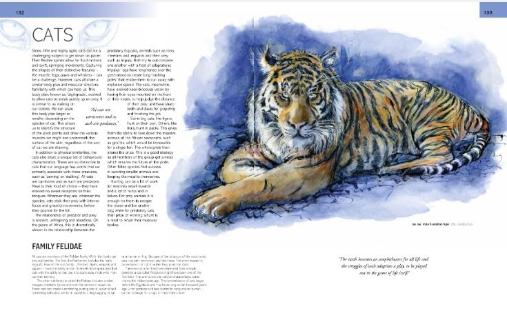 The Field Guide to Drawing and Sketching Animals