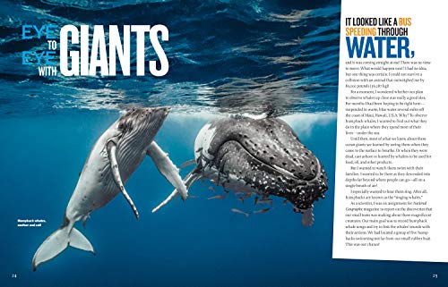 Extreme Ocean: Amazing Animals, High-Tech Gear, Record-Breaking Depths, and More (NGK Extreme)