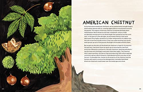 Trees: An Illustrated Celebration