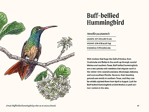 A Little Book of Hummingbirds (Little Book of Natural Wonders)