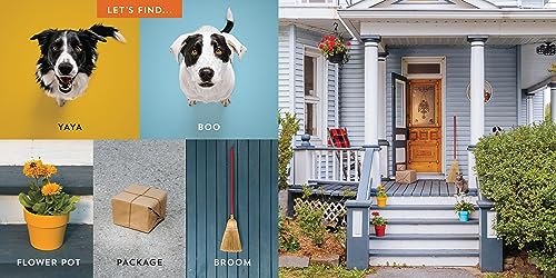 Let's Find Yaya and Boo at Home!: A Hide-and-Seek Adventure (Find Momo)