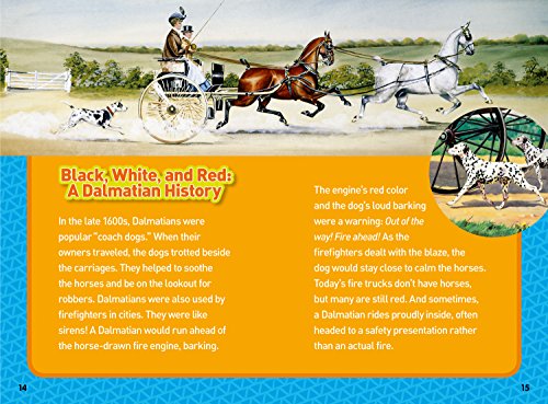 National Geographic Kids Chapters: Hero Dogs! (NGK Chapters)