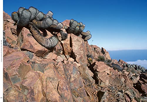 Xerophile, Revised Edition: Cactus Photographs from Expeditions of the Obsessed