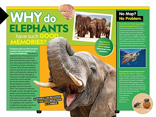 National Geographic Kids Why? Animals: 99+ Awesome Answers for Curious Kids (NGK Why?)