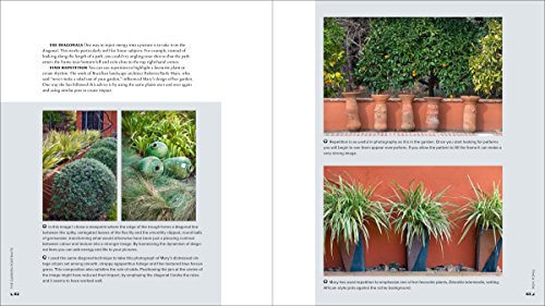 The Garden Photography Workshop: Expert Tips and Techniques for Capturing the Essence of Your Garden