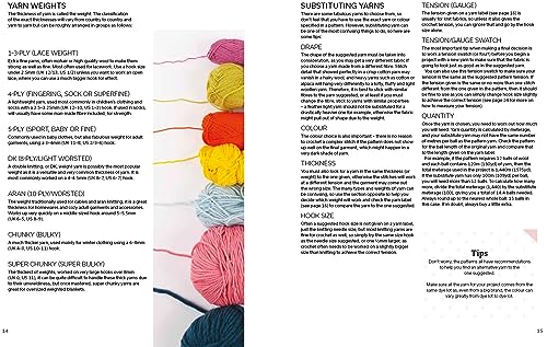 Beginner's Guide to Crochet, The: Easy techniques and 8 fun projects