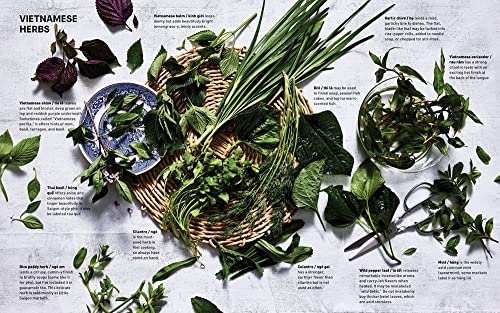 Ever-Green Vietnamese: Super-Fresh Recipes, Starring Plants from Land and Sea [A Plant-Based Cookbook]