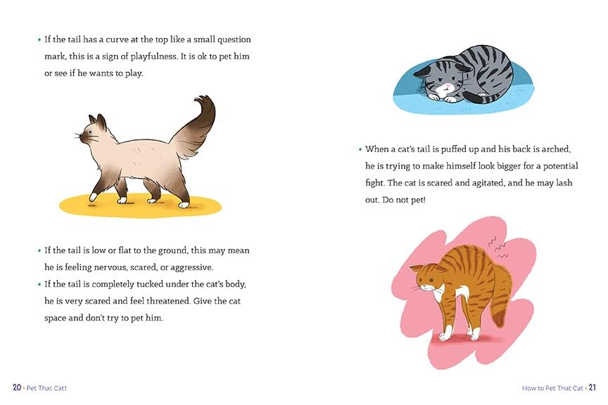 Pet That Cat!: A Handbook for Making Feline Friends
