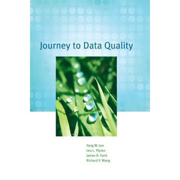 Journey to Data Quality