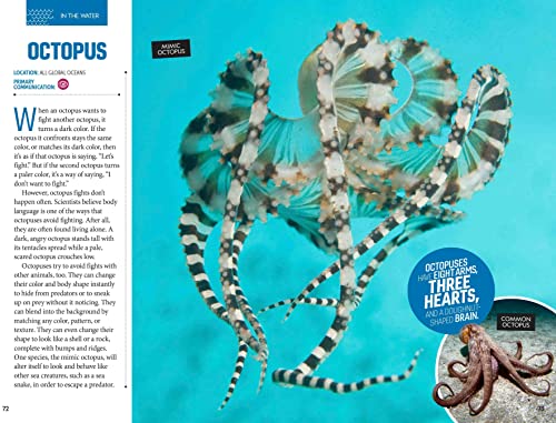 How to Speak Animal: A Guide to Learning How Animals Communicate (NGK How to Speak Animal)