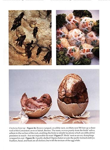 Extreme Cuisine: The Weird & Wonderful Foods that People Eat
