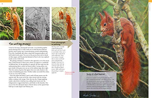 Art of Angela Gaughan, The: Techniques & inspiration for painting wildlife in acrylics