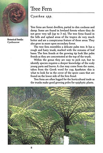 Handy Pocket Guide to Tropical Plants (Handy Pocket Guides)