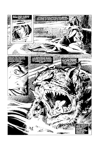 The Savage Sword of Conan: The Original Comics Omnibus Vol.4 (SAVAGE SWORD OF CONAN OMNIBUS)