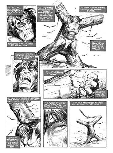 The Savage Sword of Conan: The Original Comics Omnibus Vol.1 (SAVAGE SWORD OF CONAN OMNIBUS)