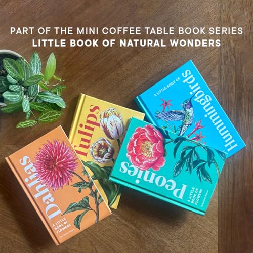 A Little Book of Hummingbirds (Little Book of Natural Wonders)