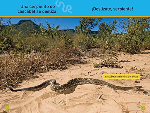 National Geographic Readers: ¡Deslízate, Serpiente! (Pre-reader)-Spanish Edition