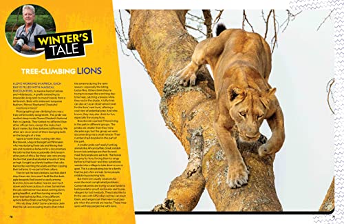 The Ultimate Book of Big Cats: Your guide to the secret lives of these fierce, fabulous felines (National Geographic Kids Ultimate Books)