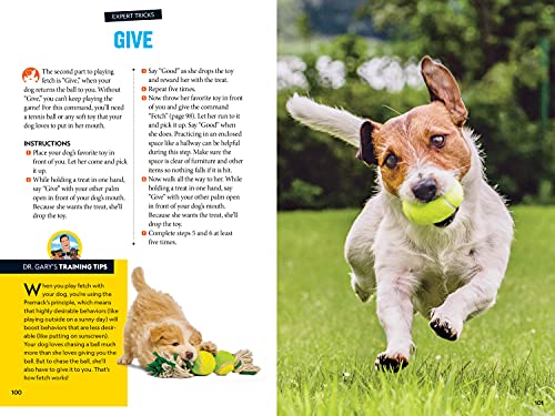 Fetch! A How to Speak Dog Training Guide (NGK How to Speak Animal)