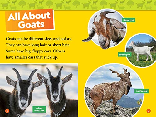 Goats (National Geographic Kids Readers, Level 1)