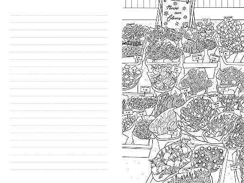 Paris: A Color-Your-Own Travel Journal (Color Your World Travel Journal Series)