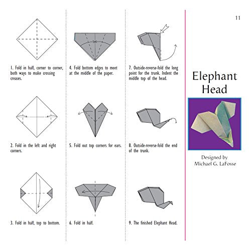 Origami Jungle Kit: Create Exciting Paper Models of Exotic Animals and Tropical Plants: Kit with 2 Origami Books, 42 Projects and 98 Origami Papers