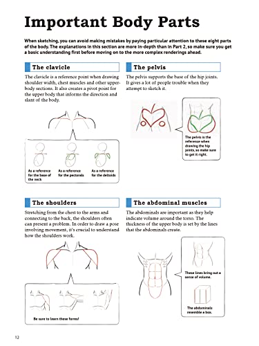 How to Create Manga: Drawing the Human Body: The Ultimate Bible for Beginning Artists (With Over 1,500 Illustrations) (How to Create Manga Guides)