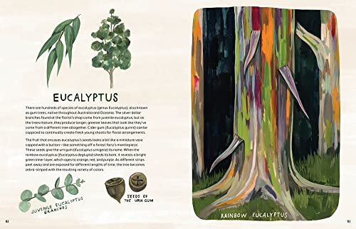 Trees: An Illustrated Celebration