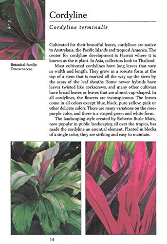 Handy Pocket Guide to Tropical Plants (Handy Pocket Guides)