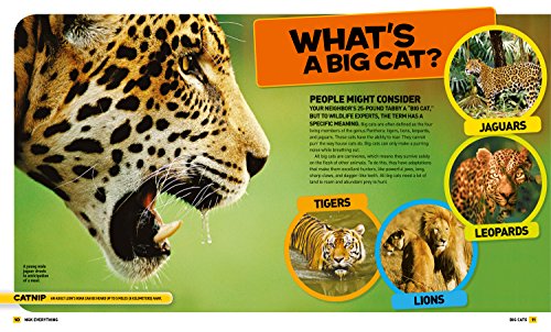 National Geographic Kids Everything Big Cats: Pictures to Purr About and Info to Make You Roar!