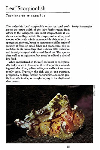Handy Pocket Guide to Tropical Coral Reef Fishes (Handy Pocket Guides)