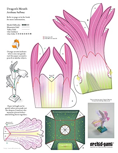 Origami Orchids Kit: 20 Beautiful Die-Cut Paper Models