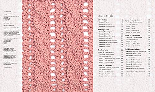 Very Easy Guide to Lace Knitting, The: Step-by-step techniques, easy-to-follow stitch patterns and projects to get you started