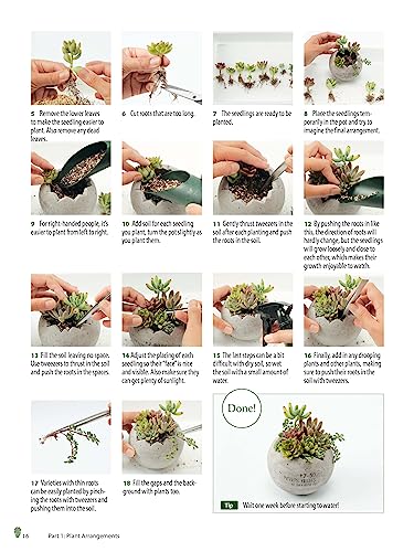 Growing Succulents: A Pictorial Guide (Over 1,500 photos and 700 plants)