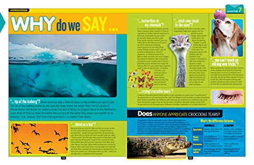 National Geographic Kids Why?: Over 1,111 Answers to Everything (NGK Why?)