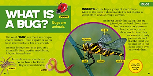 National Geographic Little Kids First Big Book of Bugs (National Geographic Little Kids First Big Books)