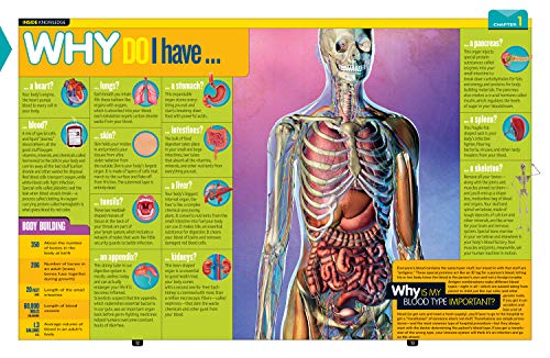 National Geographic Kids Why?: Over 1,111 Answers to Everything (NGK Why?)