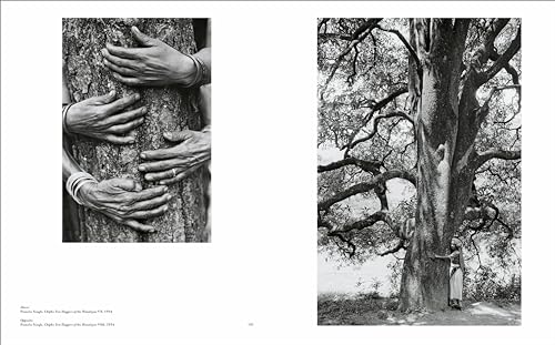 RE/SISTERS: A Lens on Gender and Ecology