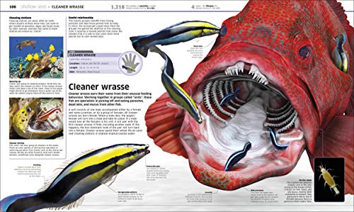 Knowledge Encyclopedia Ocean!: Our Watery World As You've Never Seen It Before (Knowledge Encyclopedias)