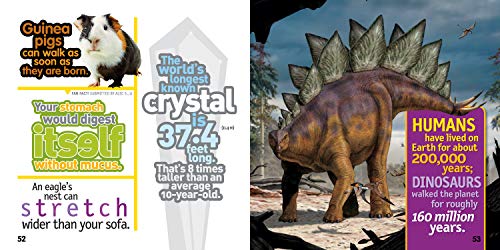 Weird But True 3: Expanded Edition
