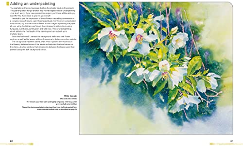 Watercolour Flowers for the Absolute Beginner