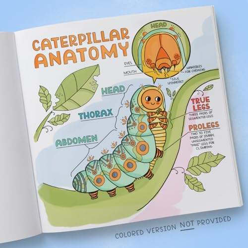 What's Inside a Garden?: Science and Nature Coloring Book: 40 Drawings to Color