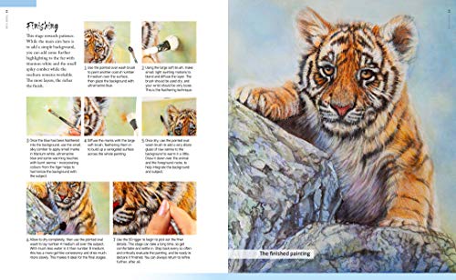 Art of Angela Gaughan, The: Techniques & inspiration for painting wildlife in acrylics