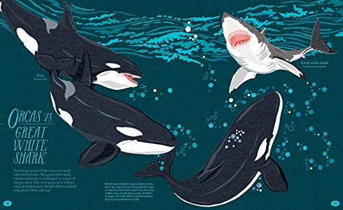 Ocean Emporium: A Compilation of Creatures