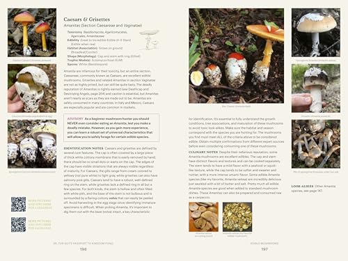Dr. Fun Guy's Passport to Kingdom Fungi: A Scientist's Guide to the Wild and Wonderful World of Mushrooms, Molds, and More