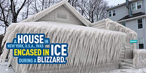 Weird But True 10