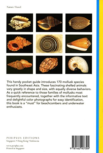 Handy Pocket Guide to Tropical Seashells (Handy Pocket Guides)