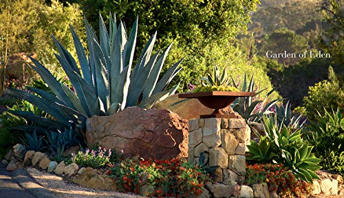 Private Gardens of Santa Barbara: The Art of Outdoor Living