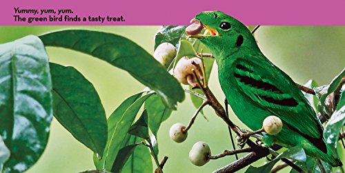 National Geographic Kids Look & Learn: Birds
